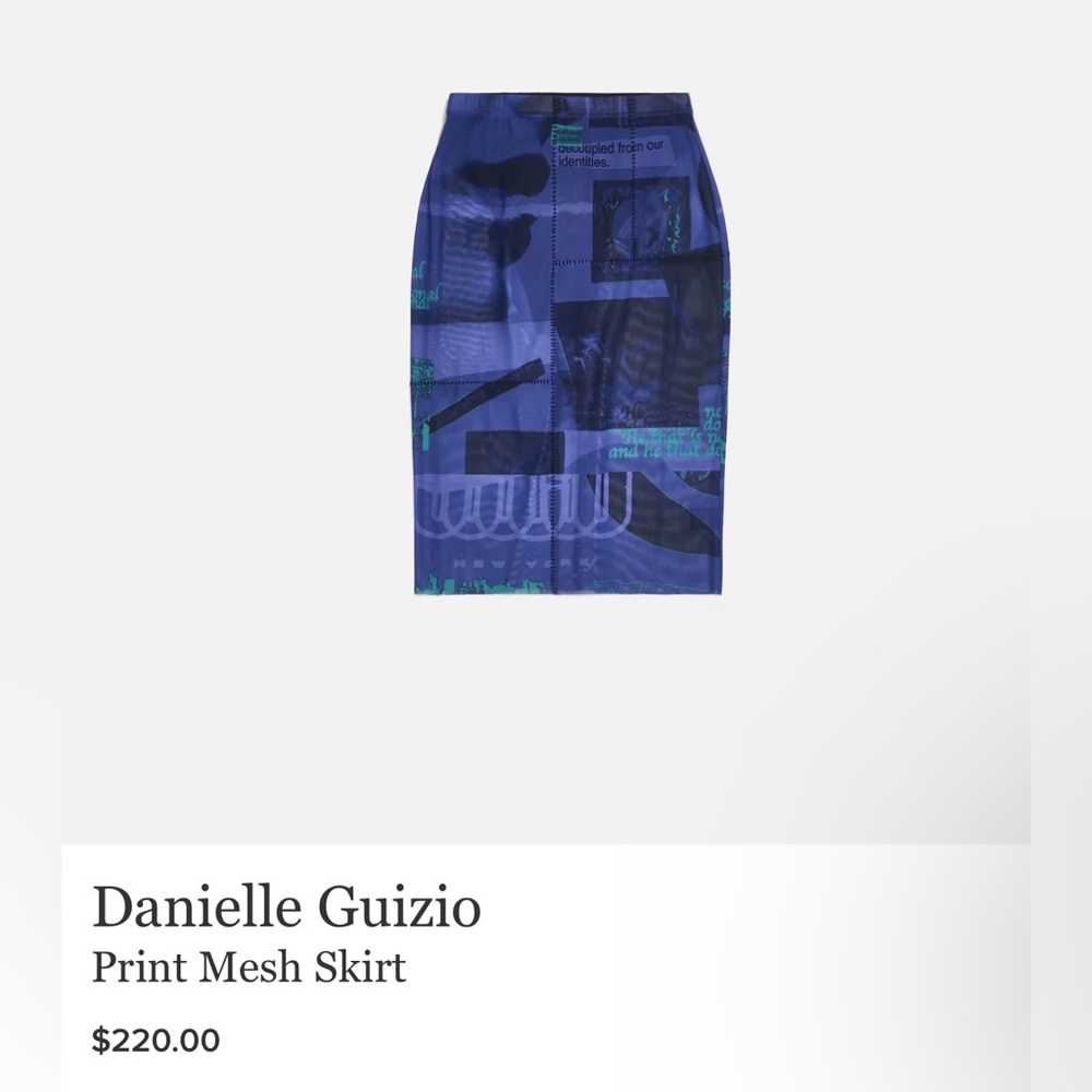 Danielle Guizio 2 Piece Mesh Skirt